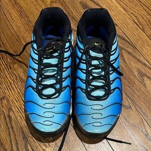 Nike Blue and Black Air Max Pro